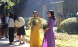 Mùa thu nắng vàng đẹp nao lòng, giới trẻ rộn ràng chụp ảnh trên con đường Hà Nội lãng mạn