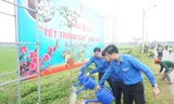 Trong năm 2020, Tuổi trẻ Đà Nẵng sẽ phấn đấu trồng khoảng 20.000 cây xanh để góp phần tạo cảnh quan môi trường xanh – sạch – đẹp