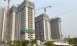 Phân khúc bất động sản nào tăng giá cao nhất thời gian qua? 