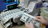 USD tăng 'nóng' chưa từng có, Ngân hàng Nhà nước lập tức ‘hạ nhiệt’