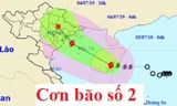 Đường đi và vị trí của bão số 2.