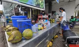 Người dân Indonesia đi mua trái dừa vì tin rằng nước dừa sẽ chữa khỏi COVID-19.