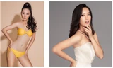 Lộ diện thí sinh Hoa hậu Việt nam 2020 vừa có đai đen karatedo, vừa làm người mẫu