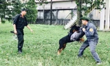 Cận cảnh huấn luyện chó nghiệp vụ
