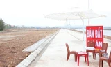 Quảng Ninh xử nghiêm chủ đầu tư bắt tay cò đất 'thổi giá', gây sốt ảo