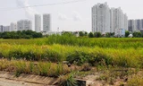 Đề xuất đánh thuế cao dự án ôm 'đất vàng' bỏ hoang triệt tiêu đầu cơ, găm đất