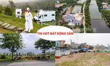 Cò 'thổi giá' đất khu đô thị Thanh Hà, biệt thự mọc 'như nấm' trên đất nông trường