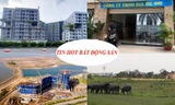 Điều tra loạt Công ty BĐS vẽ dự án 'ma' lừa đảo, mua căn hộ dưới 1 tỷ đồng ở đâu Hà Nội?