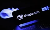 Logo của DeepSeek