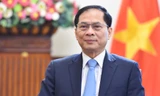 Phó Thủ tướng, Bộ trưởng Ngoại giao Bùi Thanh Sơn. (Ảnh: Mofa)