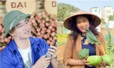Livestream đâu phải để bóc phốt: Nghệ sĩ chốt đơn bán vải giúp bà con, netizen vơi nhớ nhà