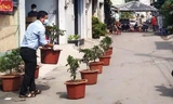 Góc dễ thương "xỉu": Thi trồng cây táo giảm xì-trét tại các hộ dân quận 12 đang cách ly 