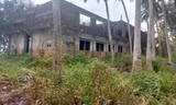 Dự án du lịch sinh thái sở hữu gần 90.000 m2 đất “vàng” xã đảo Tam Hải nay bị bỏ hoang nhếch nhácẢnh: Hoài Văn 