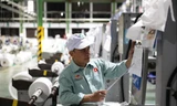 Nhu cầu lao động của Nhật đang ở mức cao, nhưng việc tuyển dụng lao động Việt rất khó 