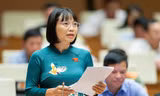 Đại biểu Nguyễn Thị Việt Nga (Đoàn Hải Dương)