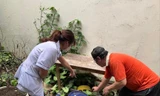 Nhân viên y tế tại Hà Nội hướng dẫn người dân cách phòng chống SXH