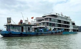 Tàu du lịch Hải Phòng bất chấp quy định về an toàn giao thông đường thủy để mua dầu ngay trên biển