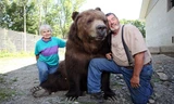 Đôi vợ chồng Mỹ coi gấu nâu nặng gần 7 tạ như con ruột