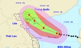 Vị trí và dự báo đường đi của cơn bão số 7. Nguồn: Trung tâm dự báo khí tượng thủy văn Trung ương.