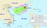 Bão số 6 có khả năng đổi hướng, giật cấp 10-11