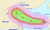 Vị trí và dự báo đường đi của cơn bão số 7. Nguồn: Trung tâm dự báo khí tượng thủy văn Trung ương.