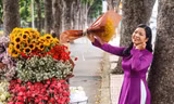 Hoa mùa thu Hà Nội đẹp nao lòng tại TP.HCM
