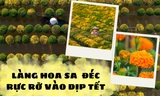 Ghé thăm "thủ phủ hoa" miền Tây dịp Tết Quý Mão: Làng hoa Sa Đéc rực rỡ đón du khách