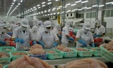 Mỹ công nhận hệ thống kiểm tra, kiểm soát cá tra của Việt Nam