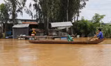 Liên Hợp Quốc dự kiến tài trợ 40 triệu USD cho dự án Chuyển đổi ĐBSCL