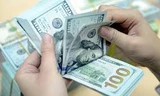 Vừa giảm nhẹ, giá USD bật tăng trở lại. ảnh minh hoạ internet
