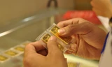 Đầu tuần, giá vàng miếng tiếp tục tăng phi mã, USD giảm nhẹ. ảnh minh hoạ 