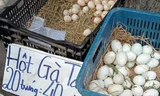 Chuyện lạ: Trứng gà ta rẻ hơn trứng gà công nghiệp