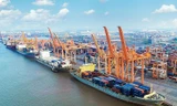 Hải Phòng giảm 50% phí hạ tầng cảng biển từ 1/1/2023