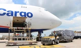 Kiến nghị trình Thủ tướng xem xét cấp phép cho hãng bay chở hàng IPP Air Cargo 