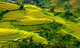 Xác định chiến lược phát triển du lịch Tây Bắc 