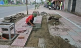 Khắc phục bất cập vỉa hè ở tuyến đường Ô Chợ Dừa - Hoàng Cầu