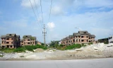 Hàng trăm biệt thự bỏ hoang ở ngoại thành Hà Nội