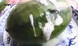 Thực hư dưa hấu sủi bọt trắng gây hoang mang