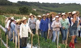 Phụ nữ ở Noiva do Cordeiro đang "mời gọi" đàn ông độc thân đến với họ.c