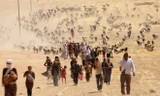Người Yazidi phải băng qua sa mạc để chạy trốn các chiến binh IS (Nguồn: Reuters) 