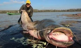 Hình ảnh con cá “khủng” vừa bắt được tại thành phố Pripyat 