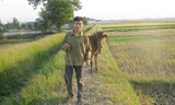Thủ khoa Trần Văn Cường vẫn hằng ngày chăn trâu giúp mẹ