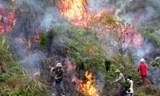 Tử vong khi chữa cháy rừng