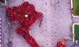 Sinh viên trường Đại học Ngoại thương xếp hàng tạo hình bản đồ Tổ quốc với hai quần đảo Hoàng Sa, Trường Sa