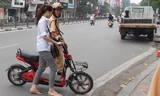 Sau nhắc nhở, nếu xe máy điện lưu thông trên đường không có biển số sẽ bị xử phạt. Ảnh: Anh Trọng