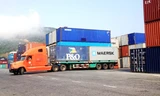 Nhiều container bị tài xế rút ruột trước khi vào cảng Tiên Sa, Đà Nẵng