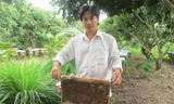 Anh Điền bên những kèo ong đang cho mật.