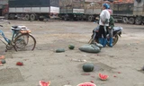 Dưa hấu vứt lăn lóc gây ô nhiễm trầm trọng tại Tân Thanh 