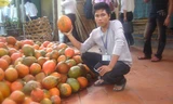 Anh Đạt đã từ bỏ nghiệp thi đấu quyền anh để về khởi nghiệp và làm giàu từ quả gấc. Ảnh: NVCC