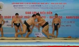 Trình diễn sumo Nhật Bản là một trong những nét mới hấp dẫn của Liên hoan. Ảnh H. Văn